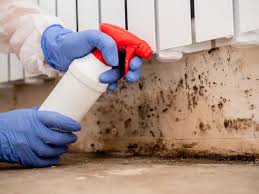 Best Mold Damage Restoration  in Rainbow Lakes, NJ